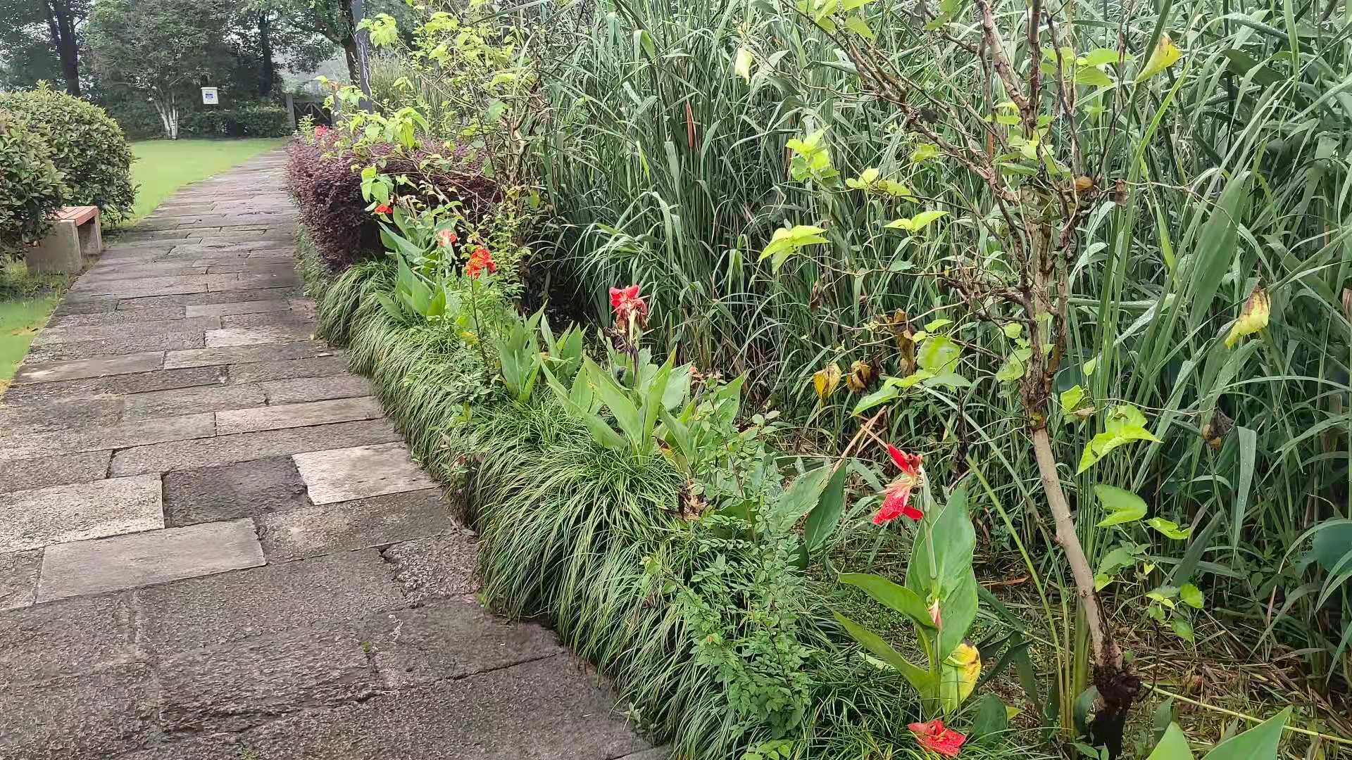 微信图片_20210621135746.jpg