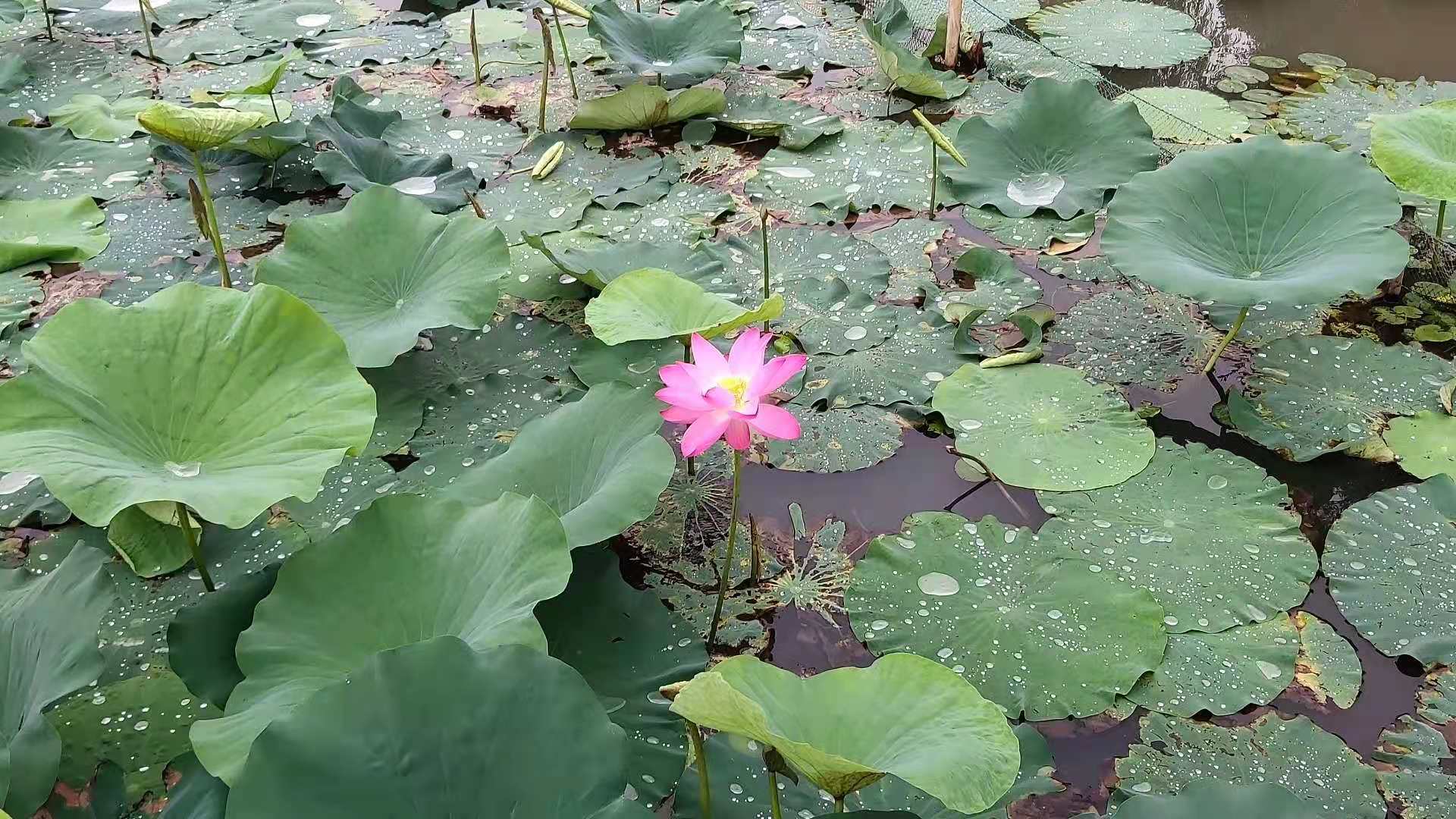 微信图片_20210621135907.jpg
