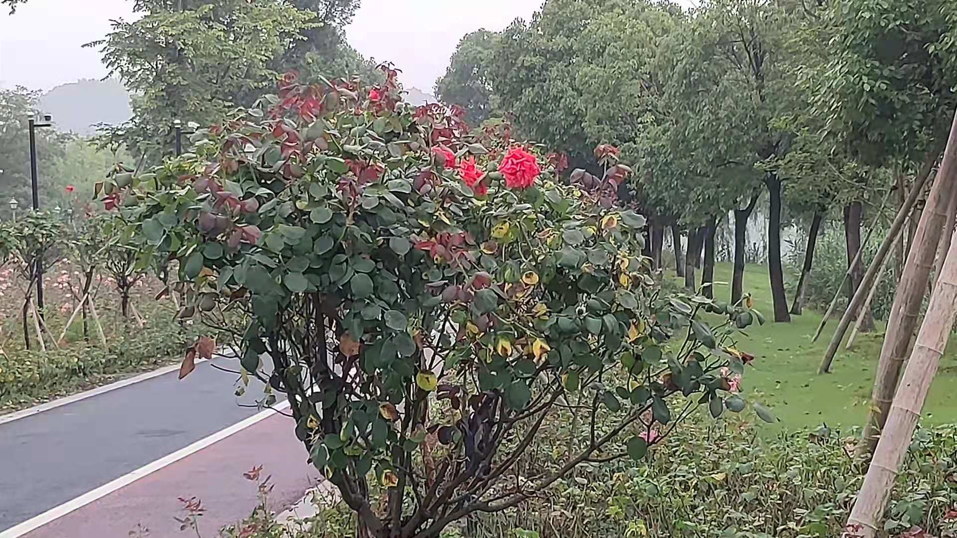 微信图片_20210621140105.jpg