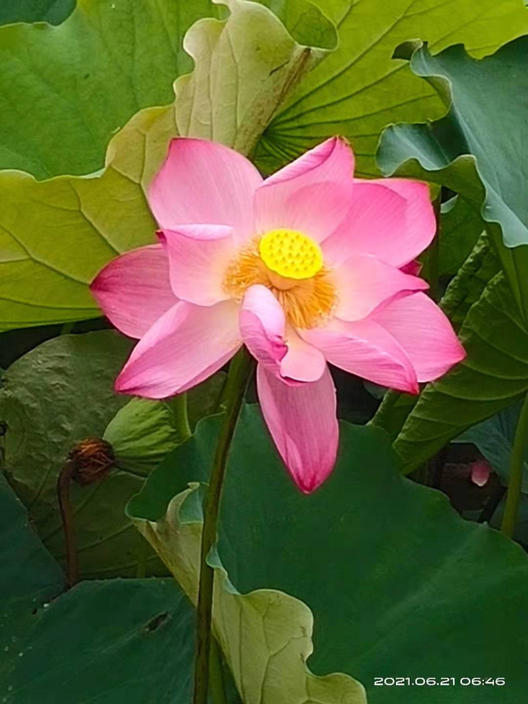 微信图片_20210621140406.jpg
