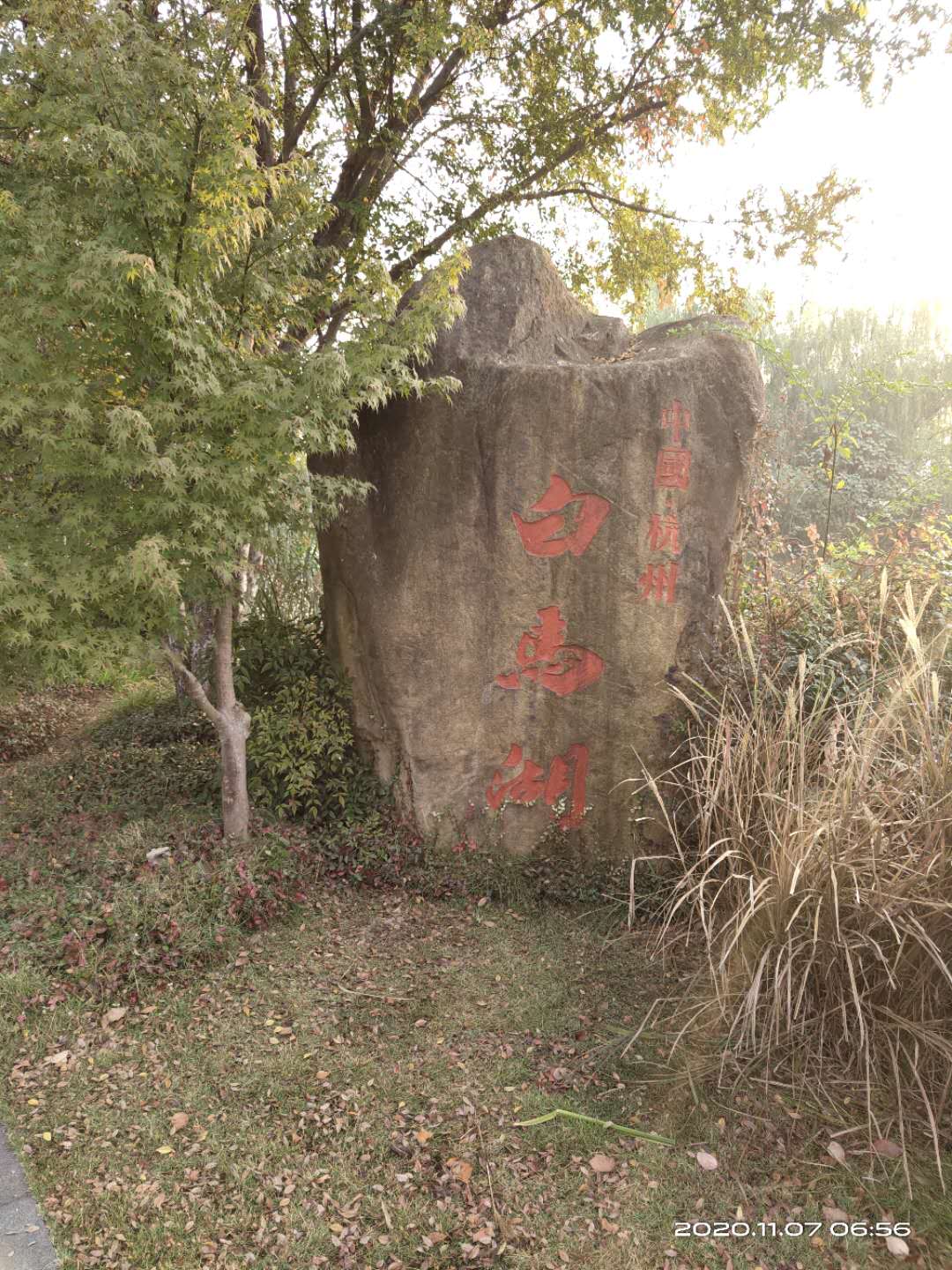 微信图片_20201107101344.jpg