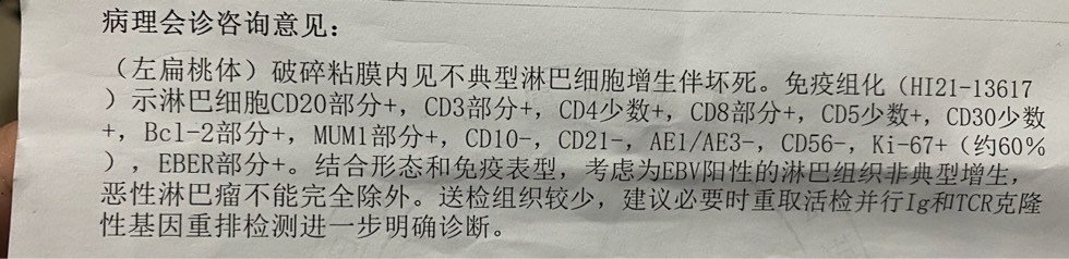 082837qccjtj8ubjuf2bu3.jpg