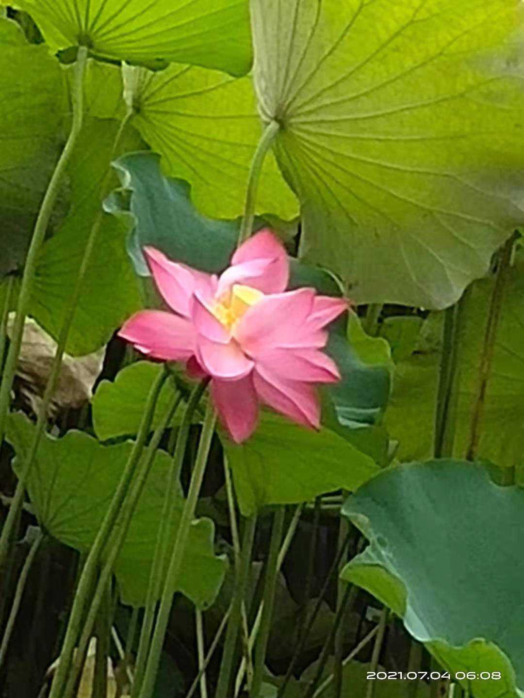 微信图片_20210704074832.jpg