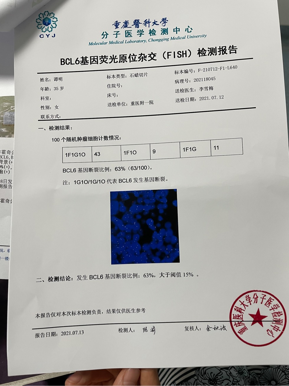 帮我看一下fish结果