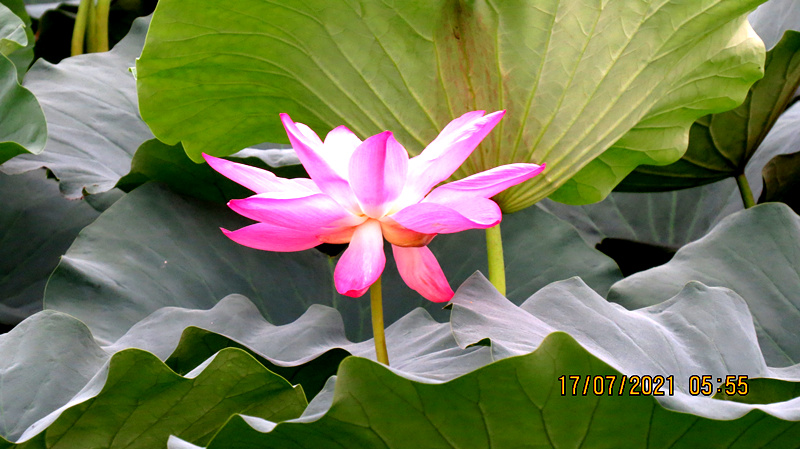 IMG_1160.JPG