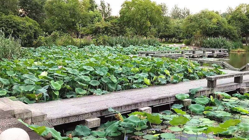 微信图片_20210717073023.jpg