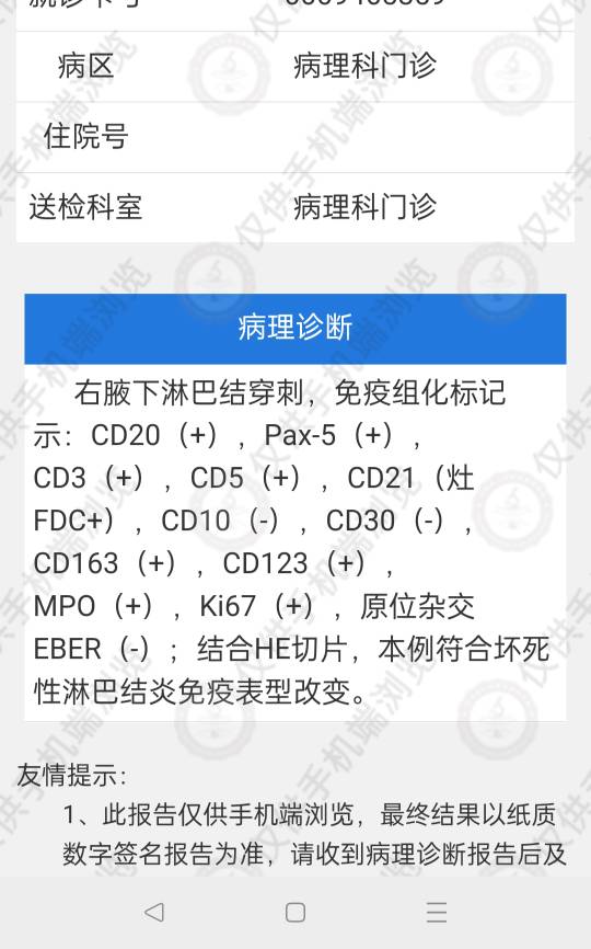 231321t4w6wv86w5xw5887.jpg