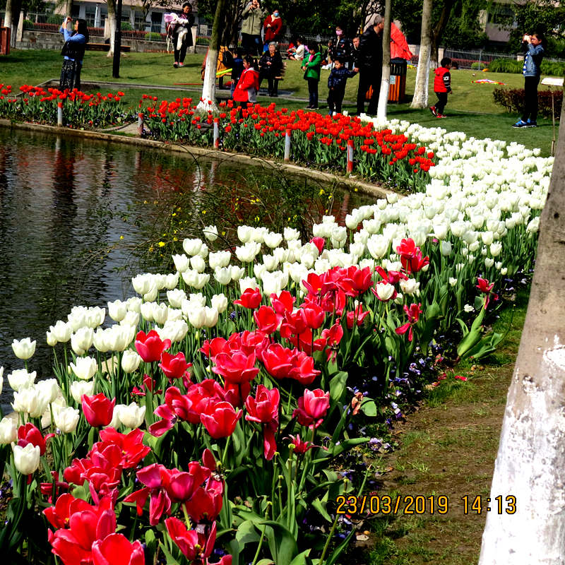 IMG_1316.JPG