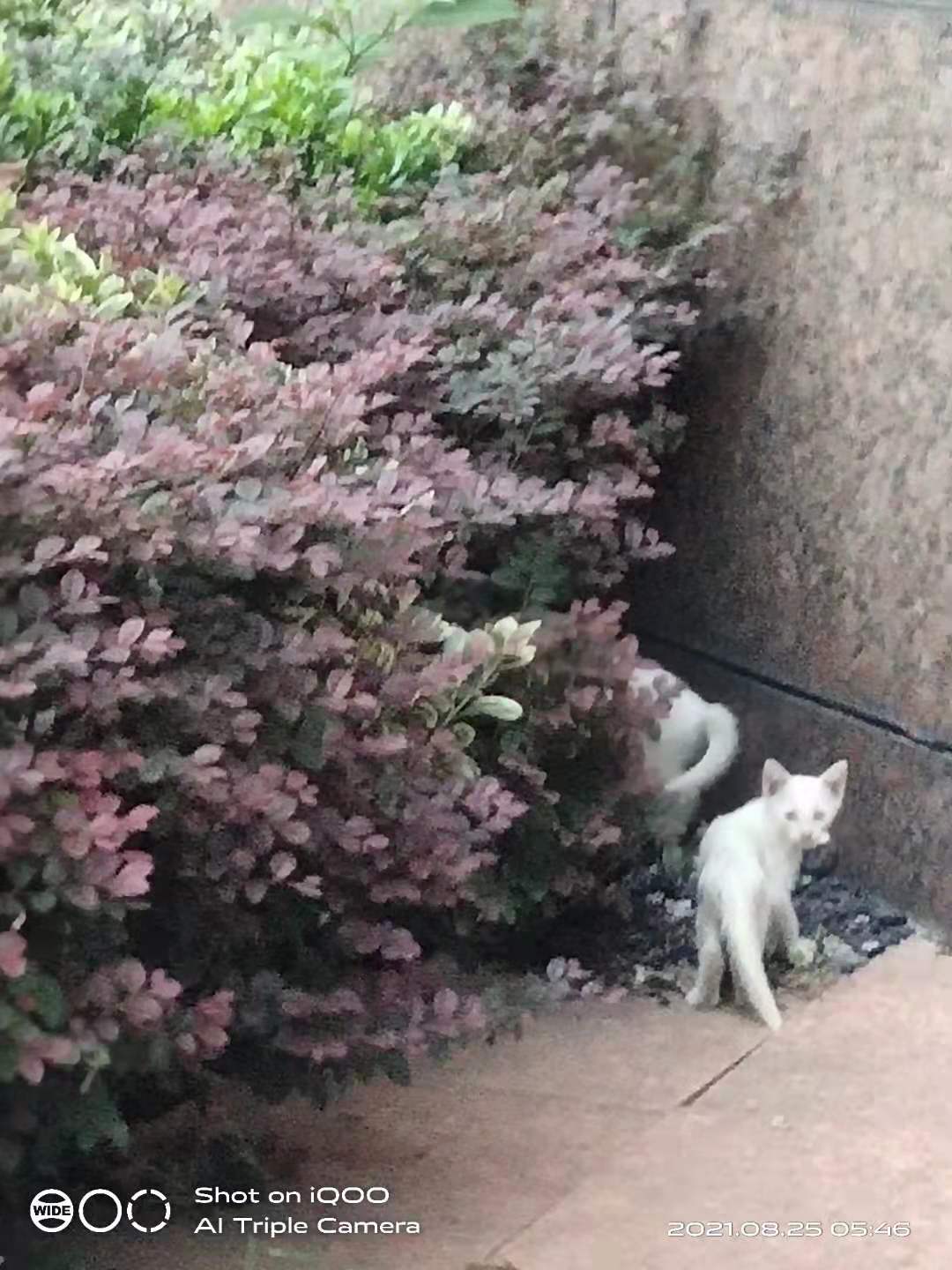微信图片_20210825095440.jpg