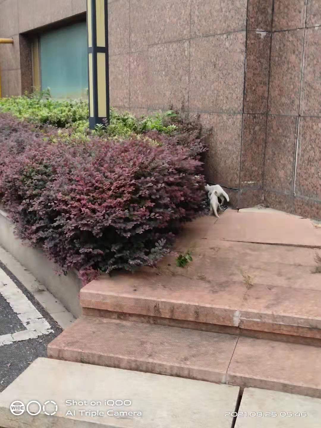 微信图片_20210825095324.jpg