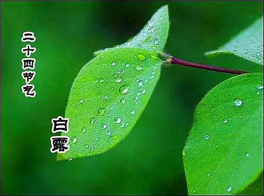 93ccc7df8b794186a134c30f4ebc8571.jpg