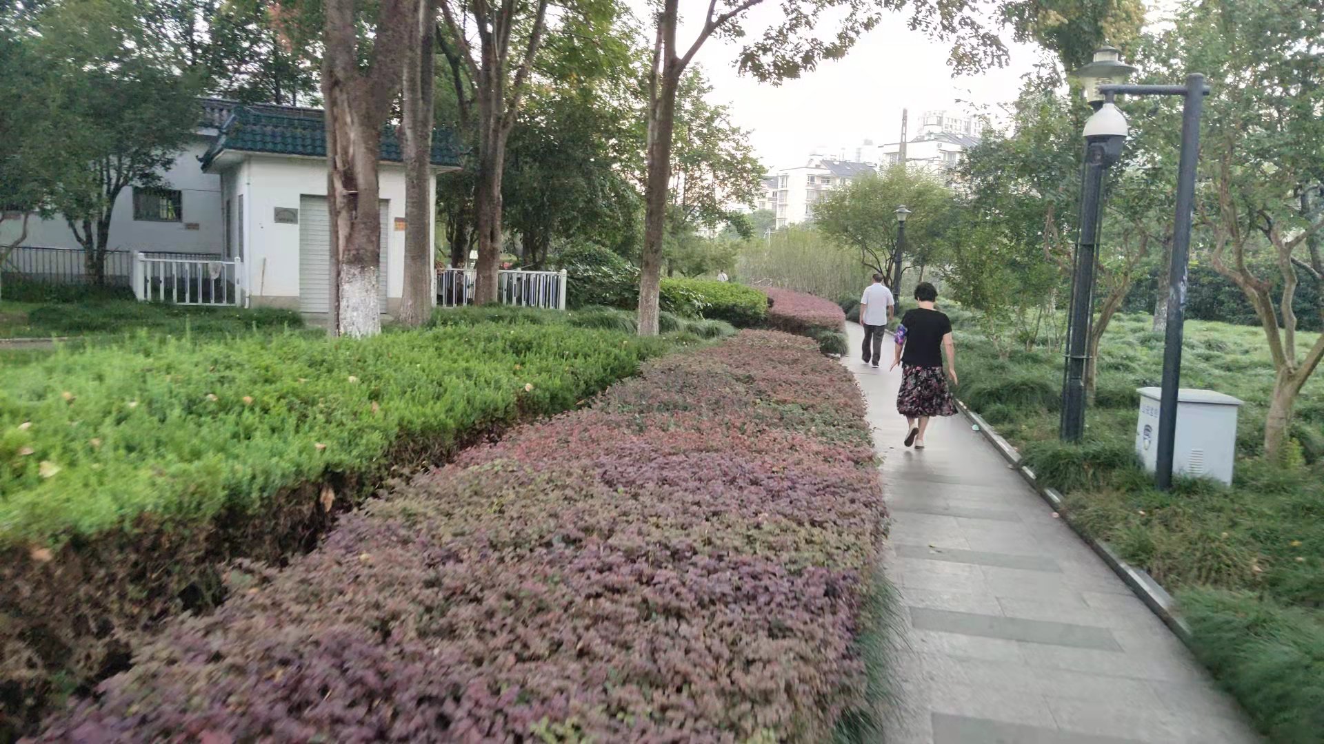 微信图片_20210923074528.jpg