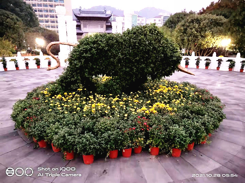 微信图片_20211028092007.jpg