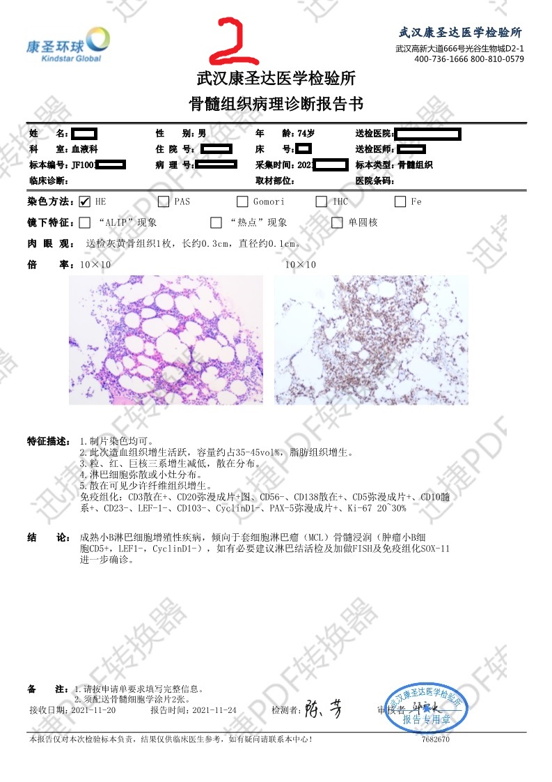 血液病理骨髓活检