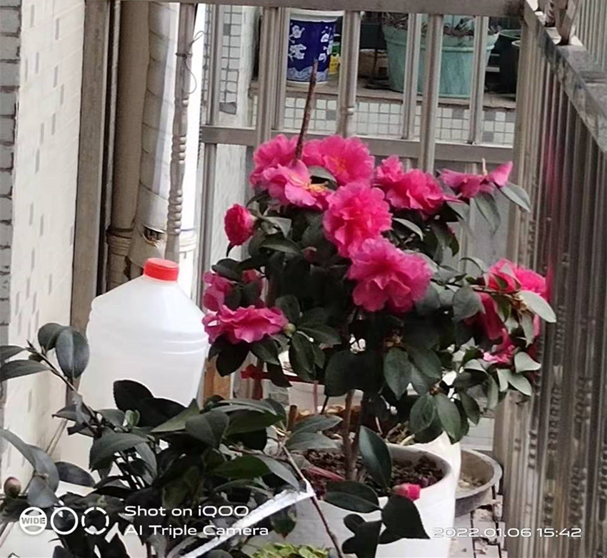 微信图片_20220107134621.jpg