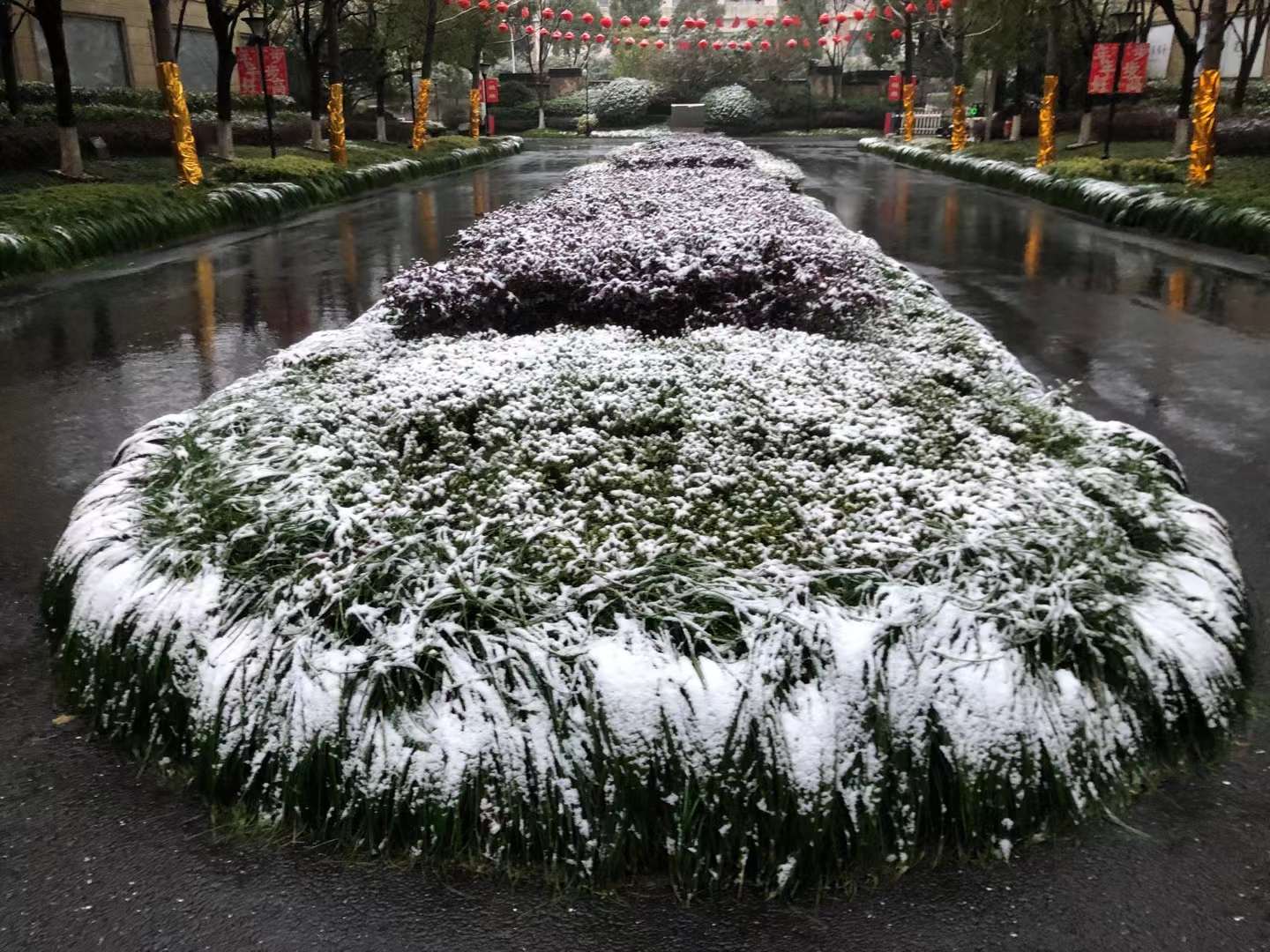 微信图片_20220129081907.jpg