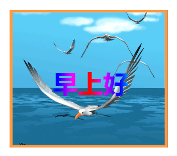 181102562.gif