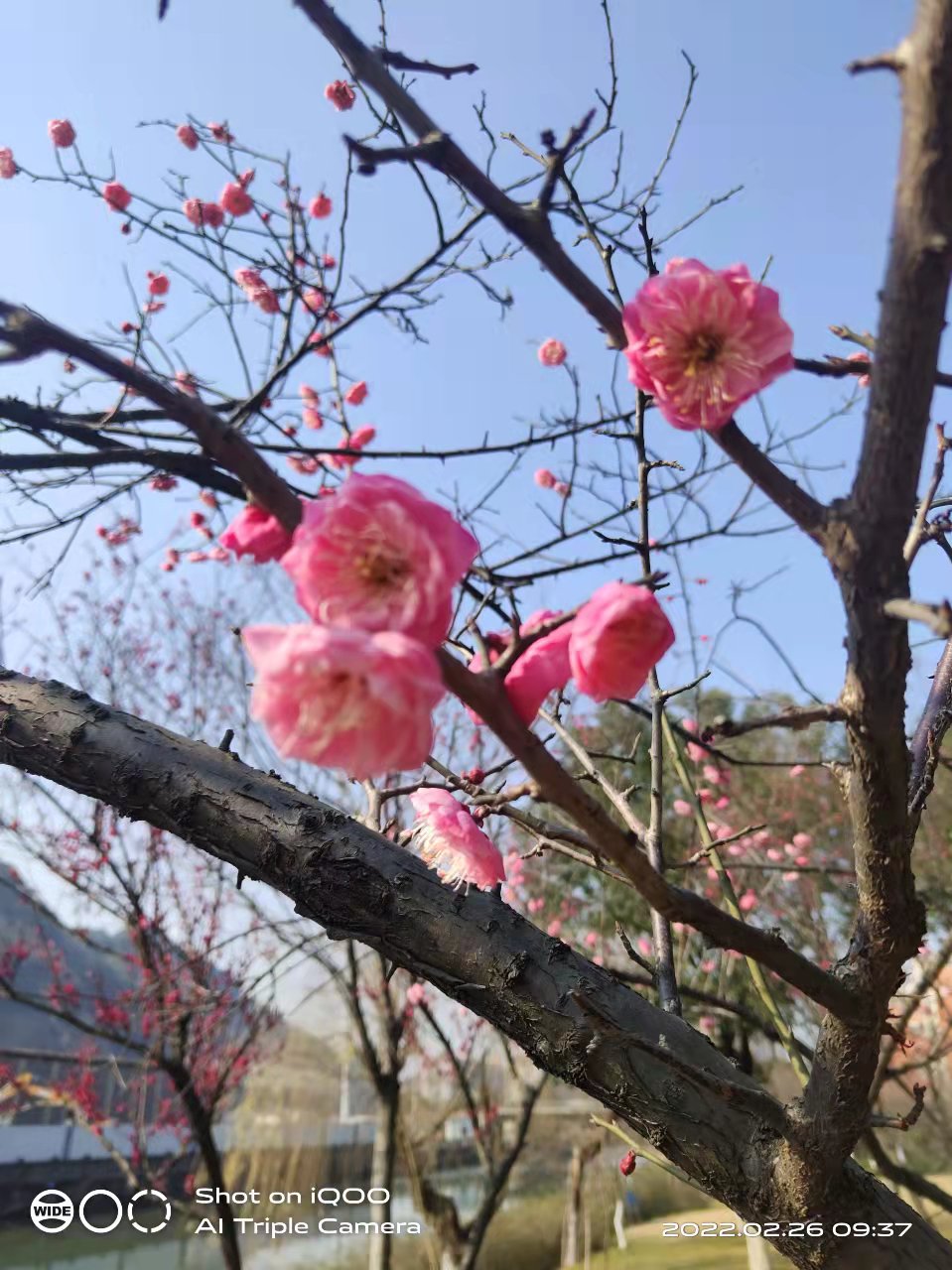 微信图片_20220226110954.jpg