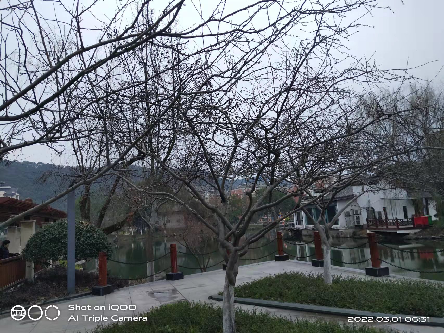 微信图片_20220301165441.jpg
