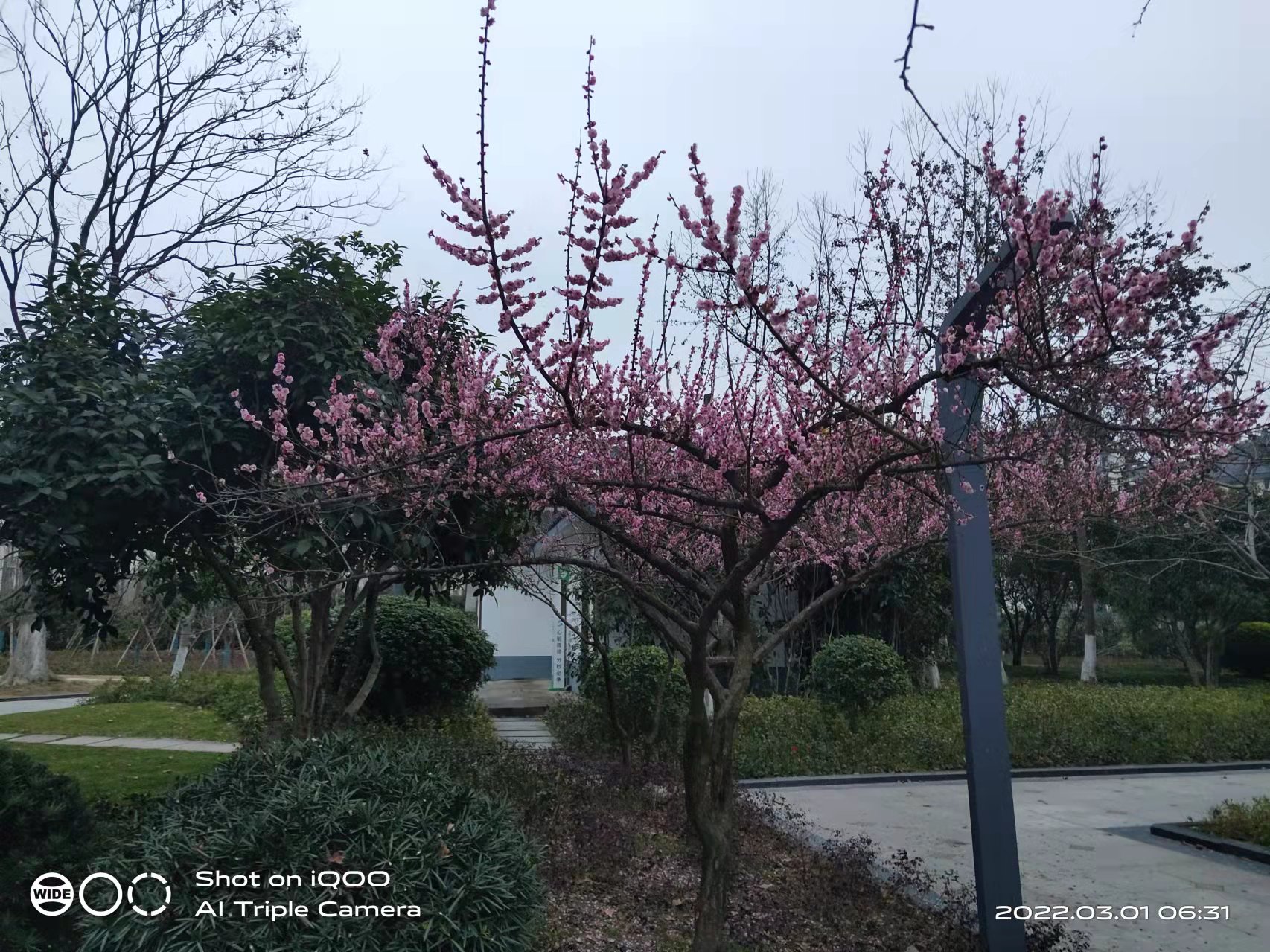 微信图片_20220301165446.jpg
