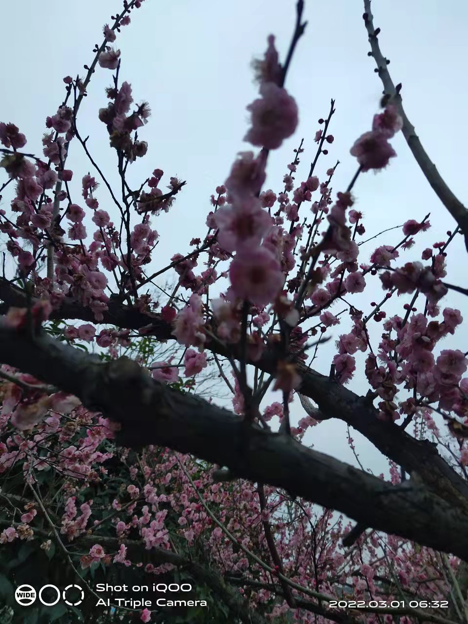 微信图片_20220301165452.jpg