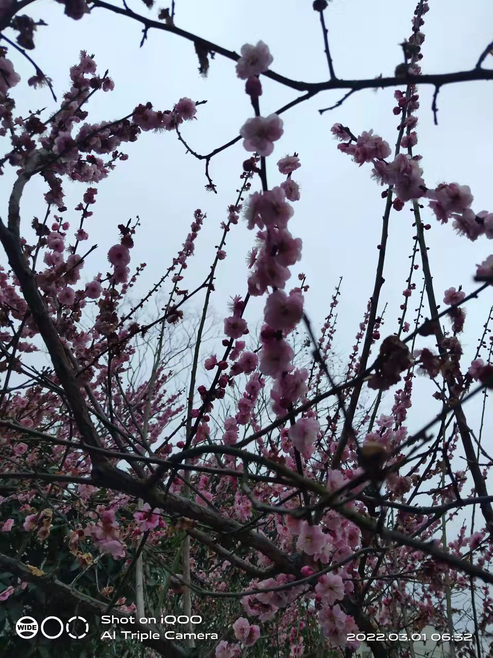 微信图片_20220301165507.jpg