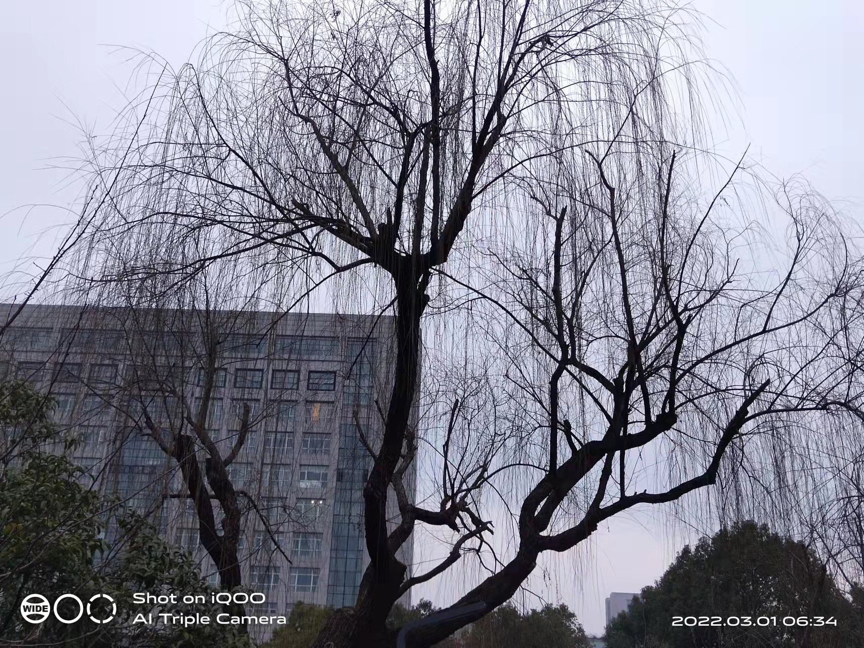 微信图片_20220301165513.jpg