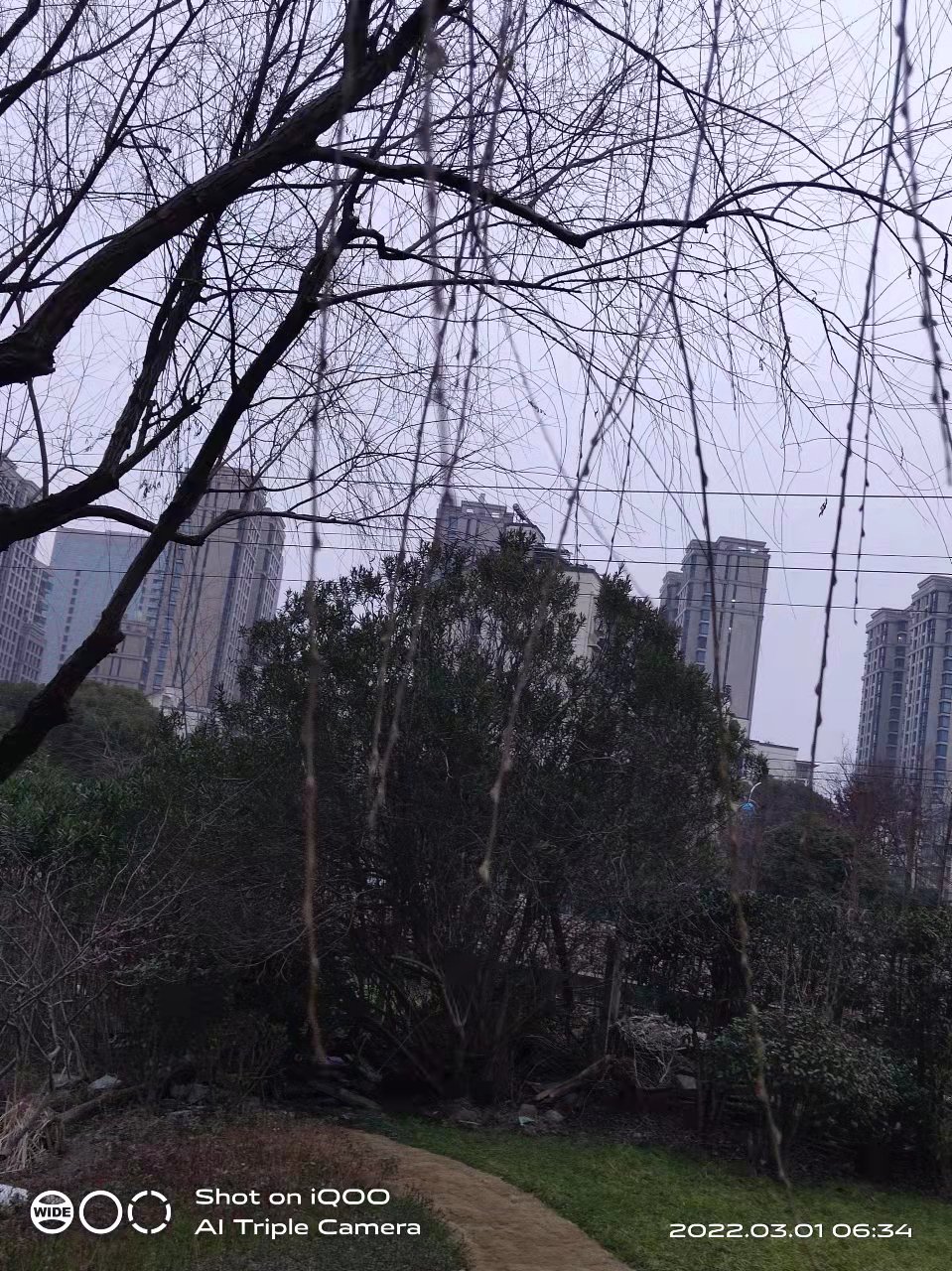 微信图片_20220301165519.jpg