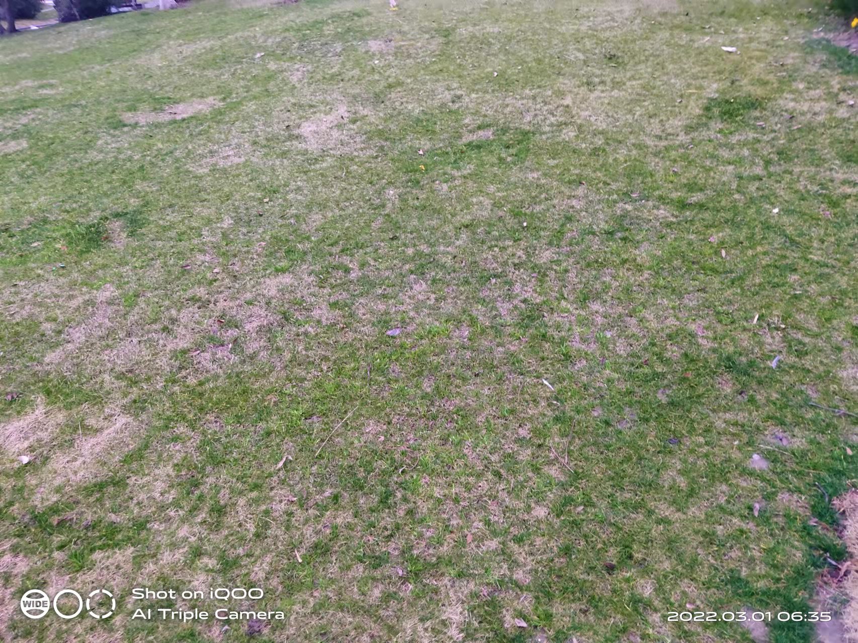 微信图片_20220301165705.jpg