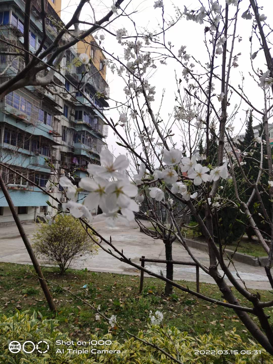 微信图片_20220315160316.jpg