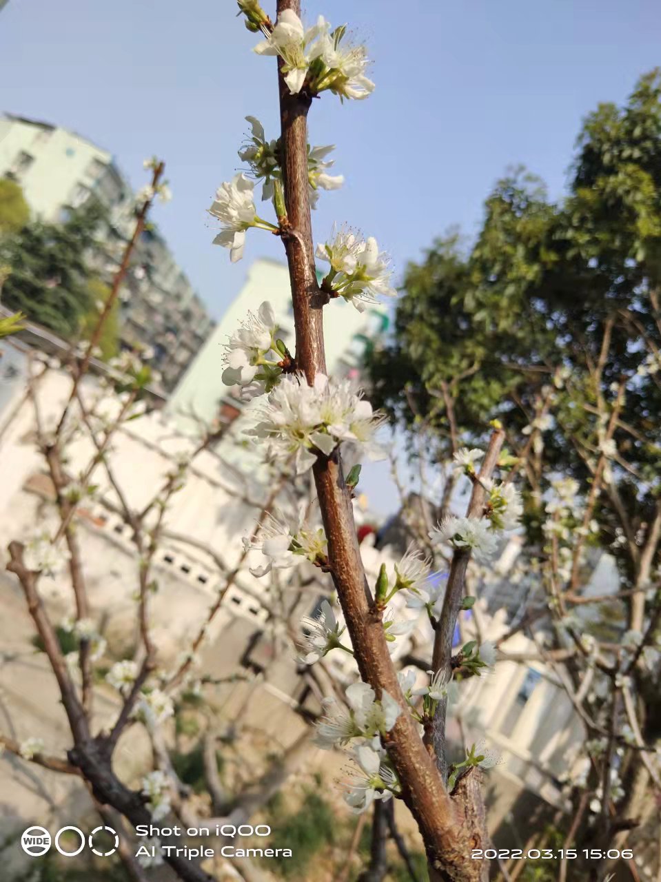 微信图片_20220315160536.jpg