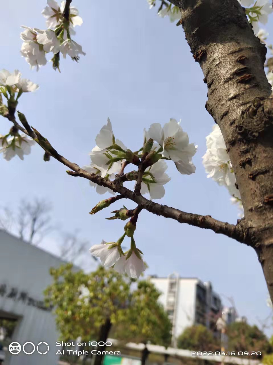 微信图片_20220316111313.jpg
