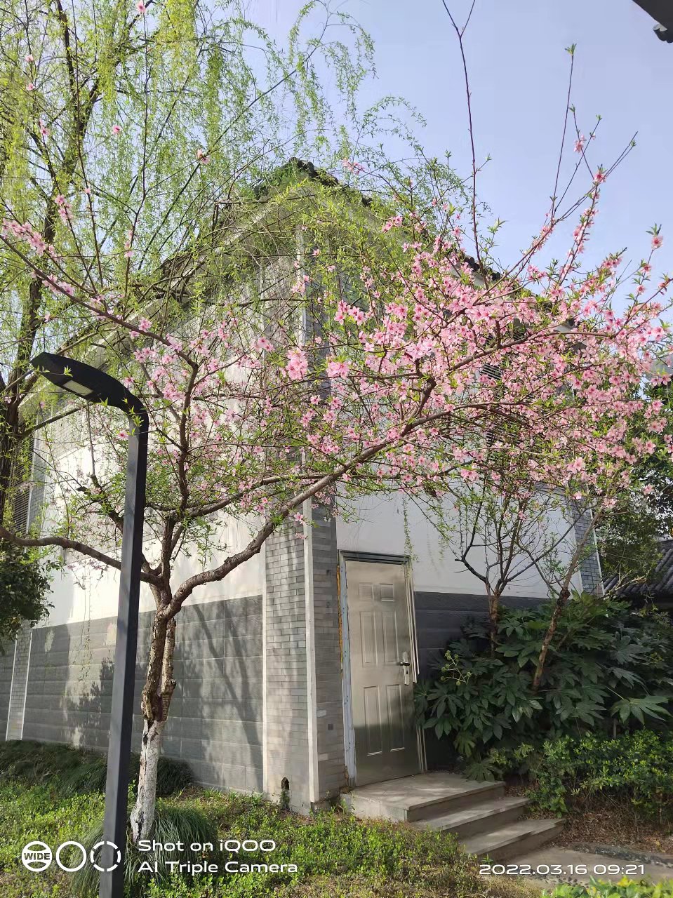 微信图片_20220316111344.jpg