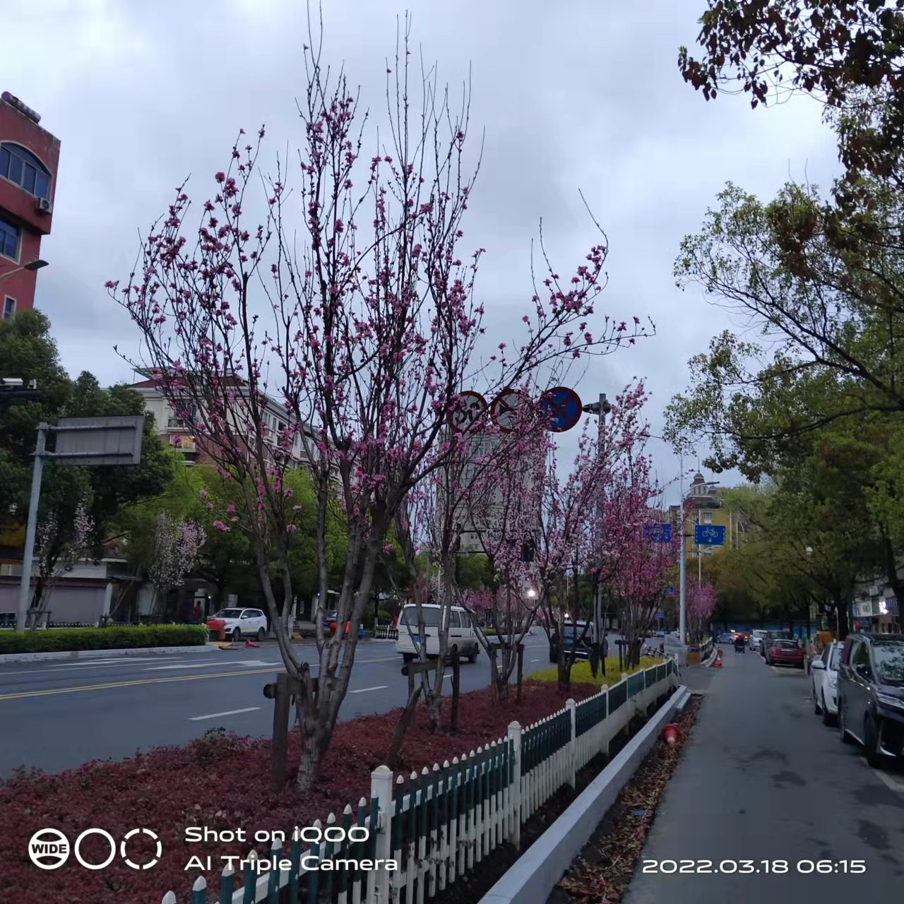 微信图片_20220318082535.jpg
