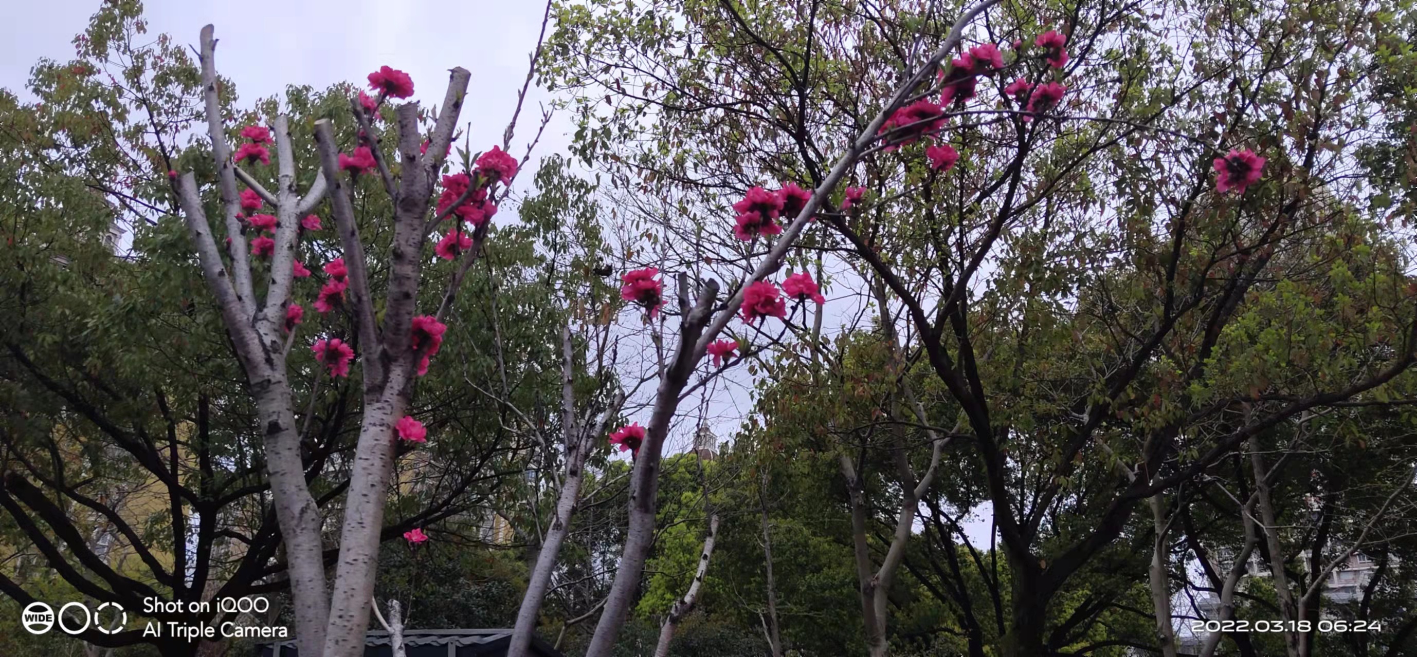 微信图片_20220318082713.jpg
