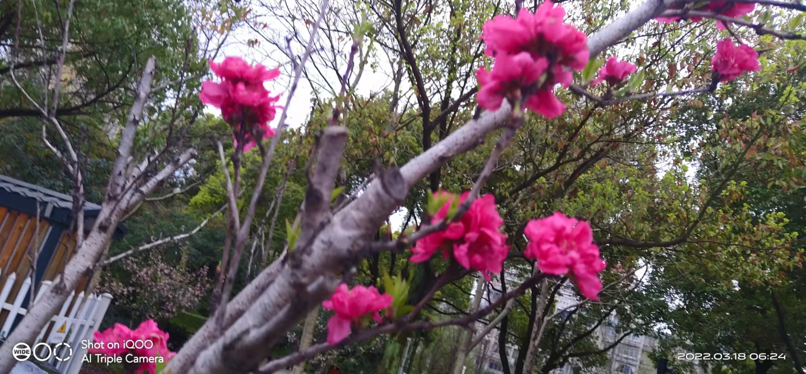 微信图片_20220318082720.jpg