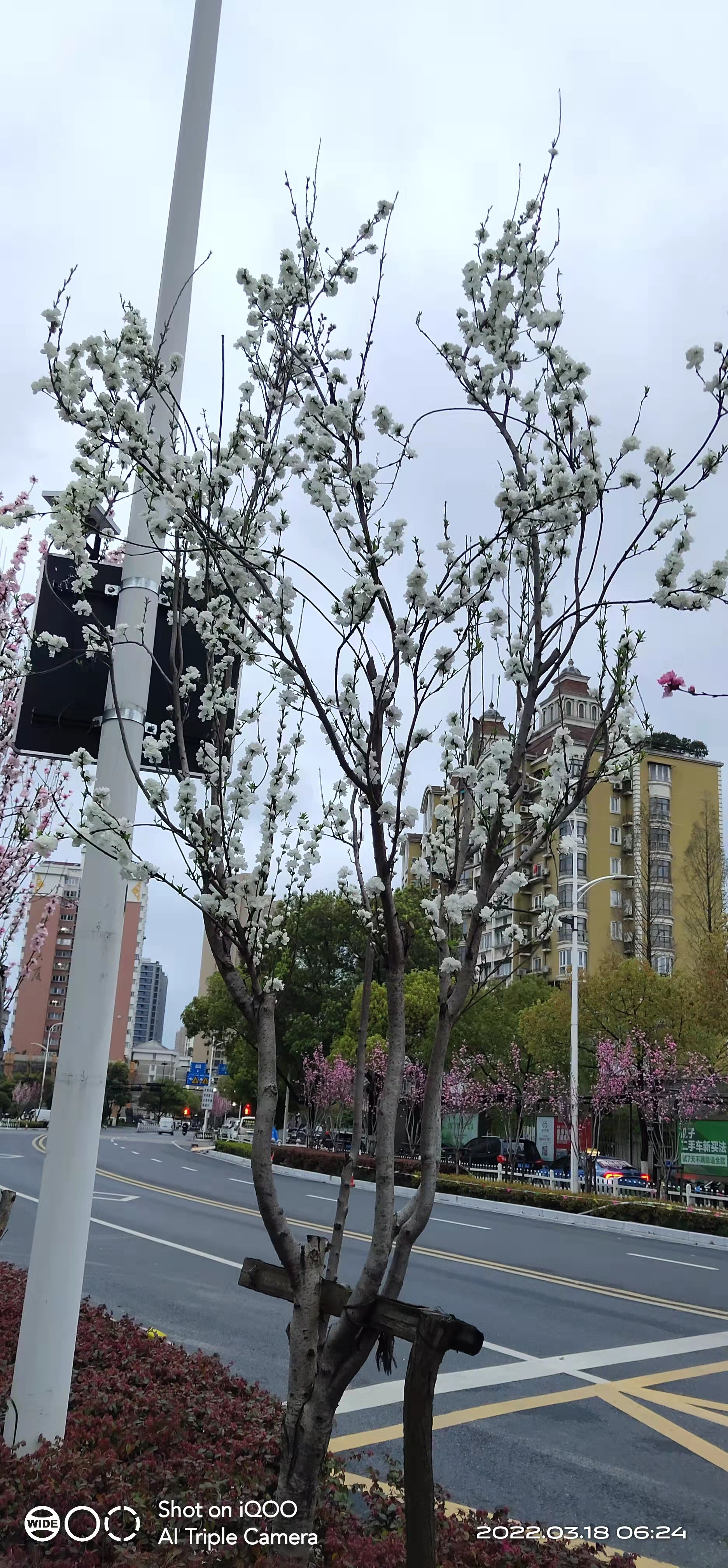 微信图片_20220318082725.jpg