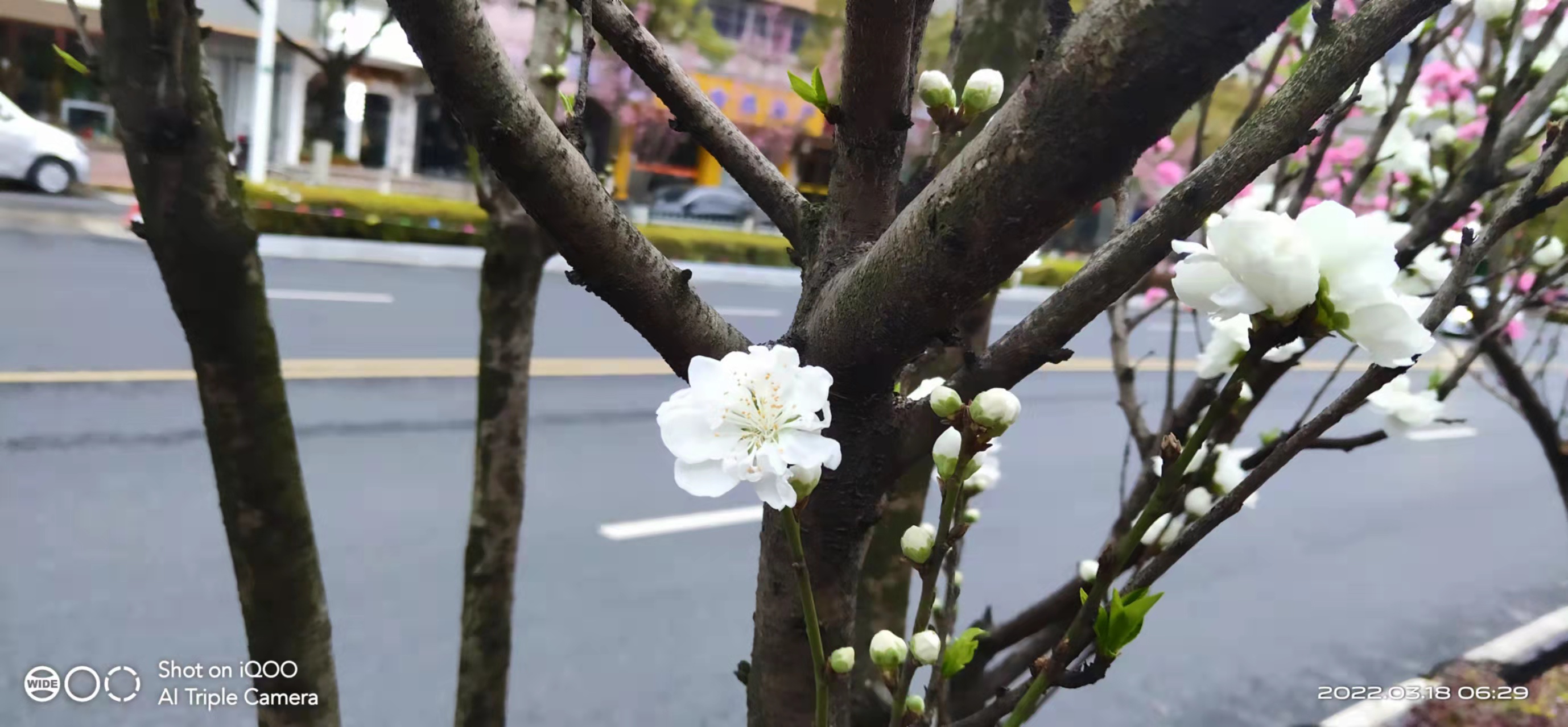 微信图片_20220318082830.jpg