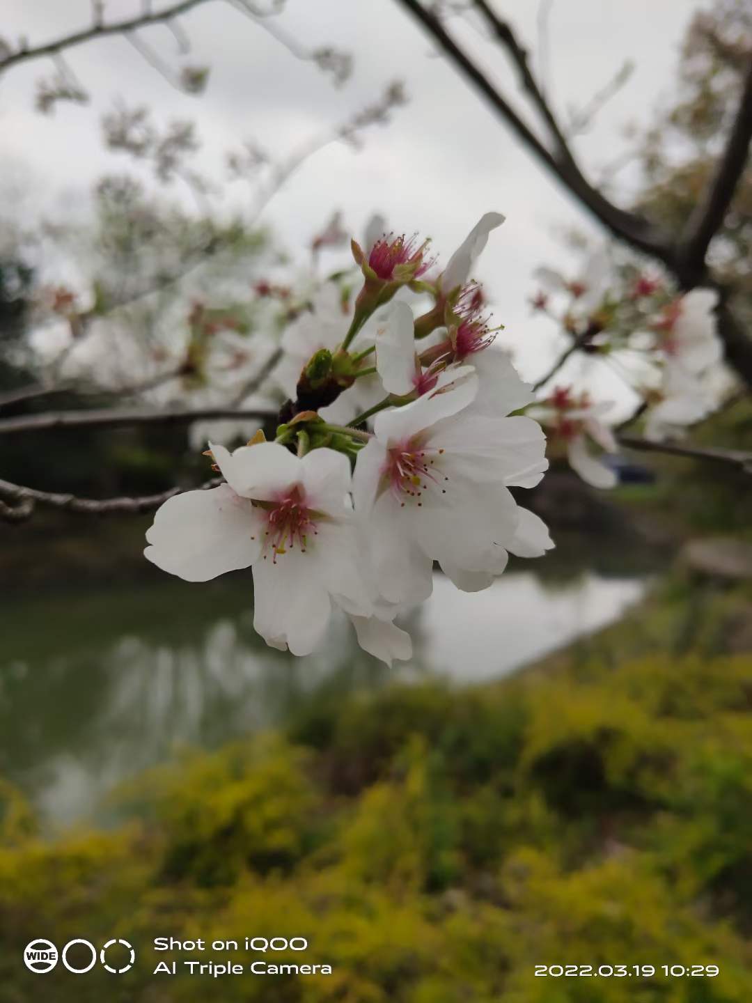 微信图片_20220319122700.jpg