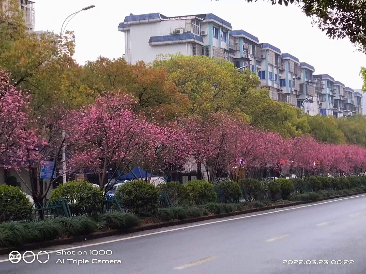 微信图片_20220323085159.jpg