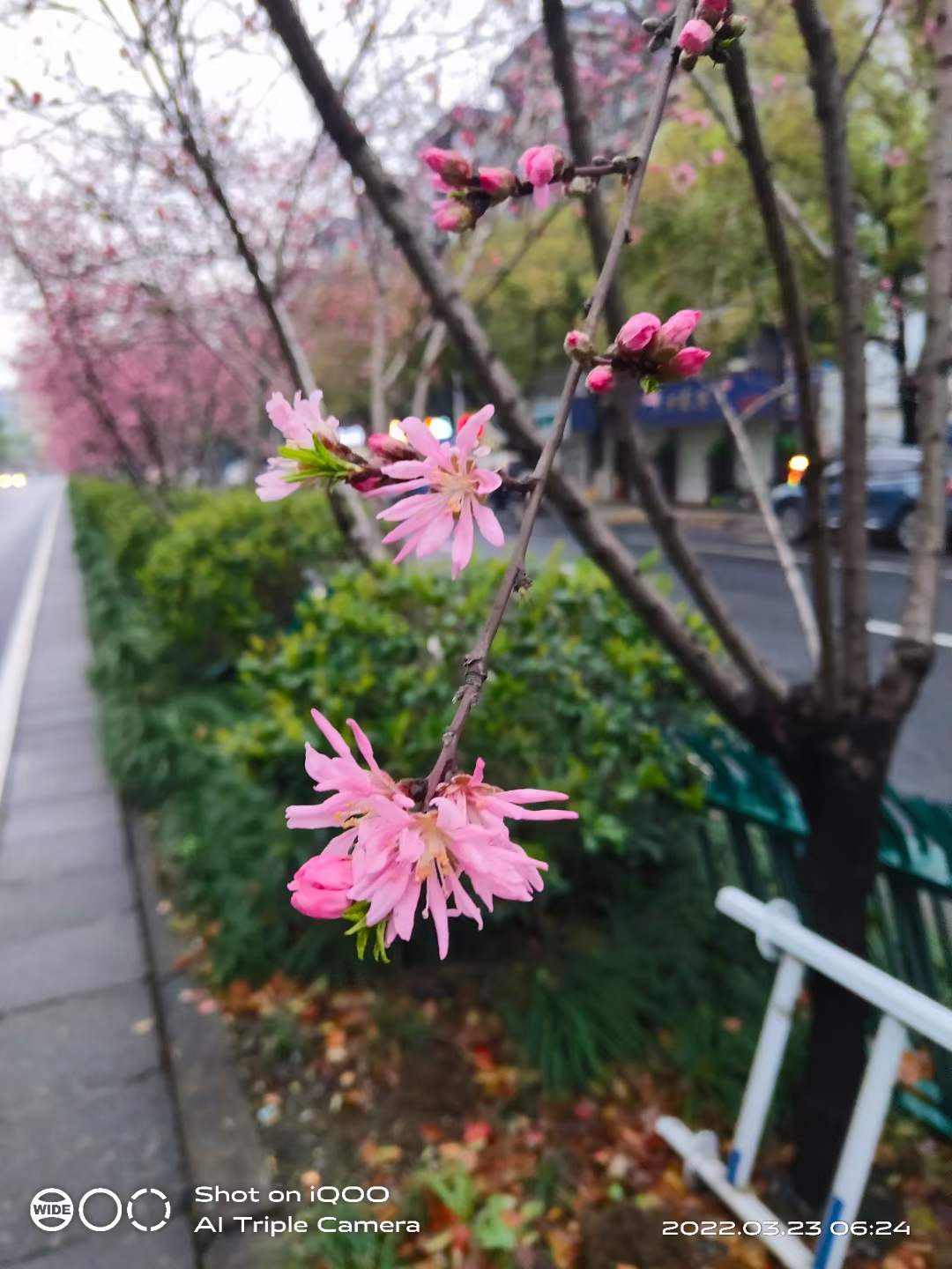 微信图片_20220323085207.jpg