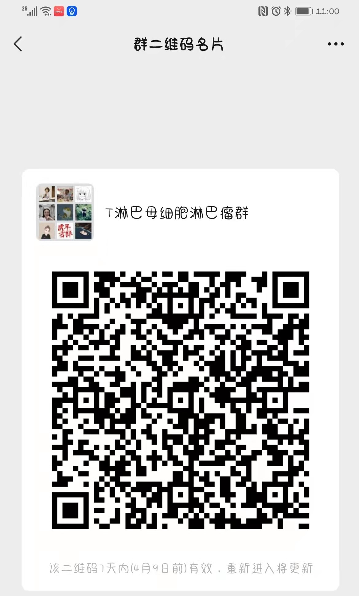T林母细胞.jpg