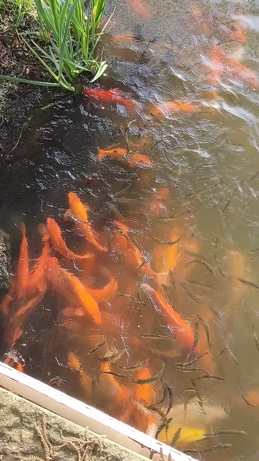 微信图片_20220407165910.jpg