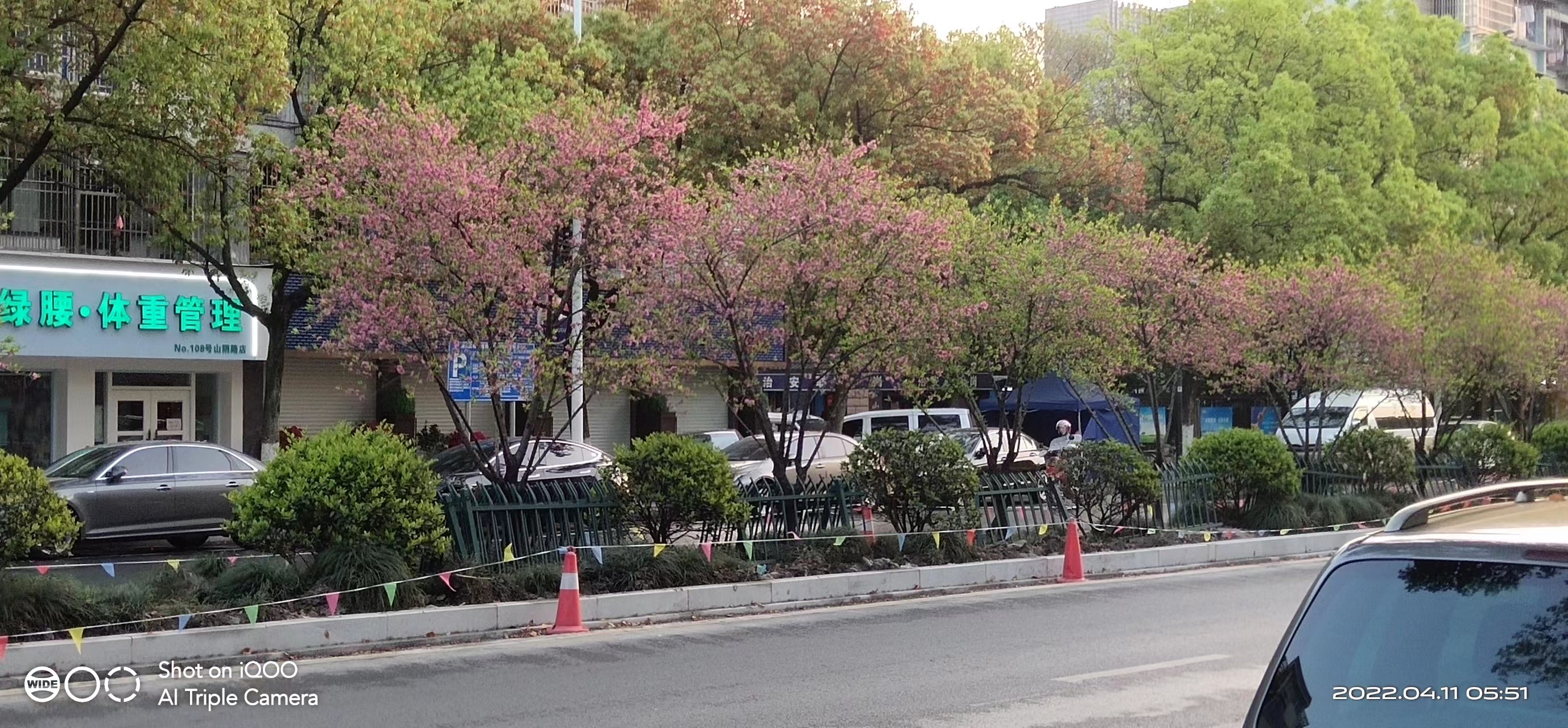 微信图片_20220411073619.jpg