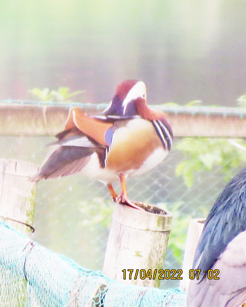 IMG_2217_副本.jpg