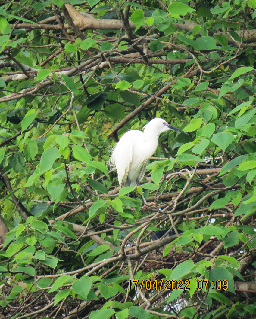 IMG_2233_副本.jpg