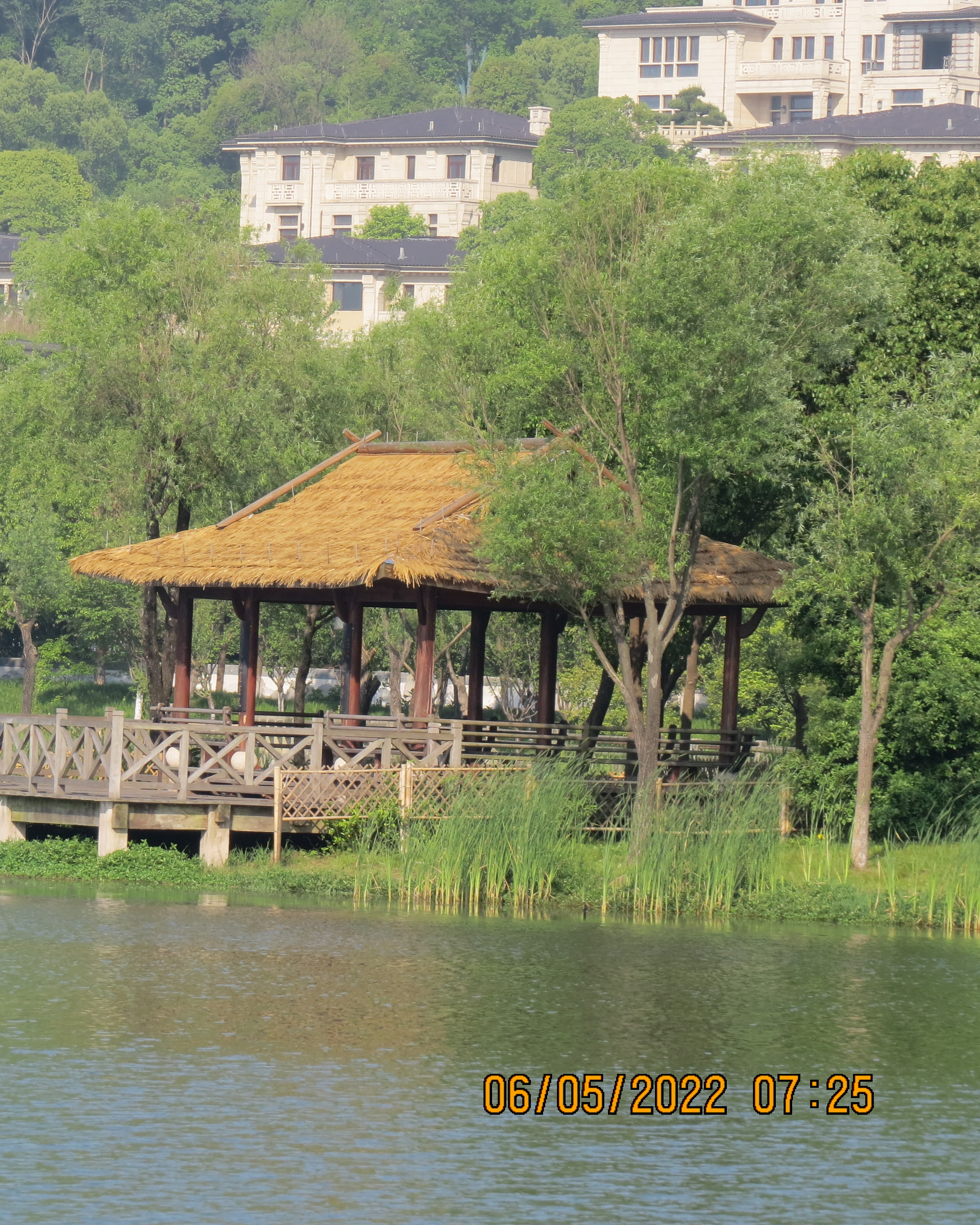 IMG_2464.JPG