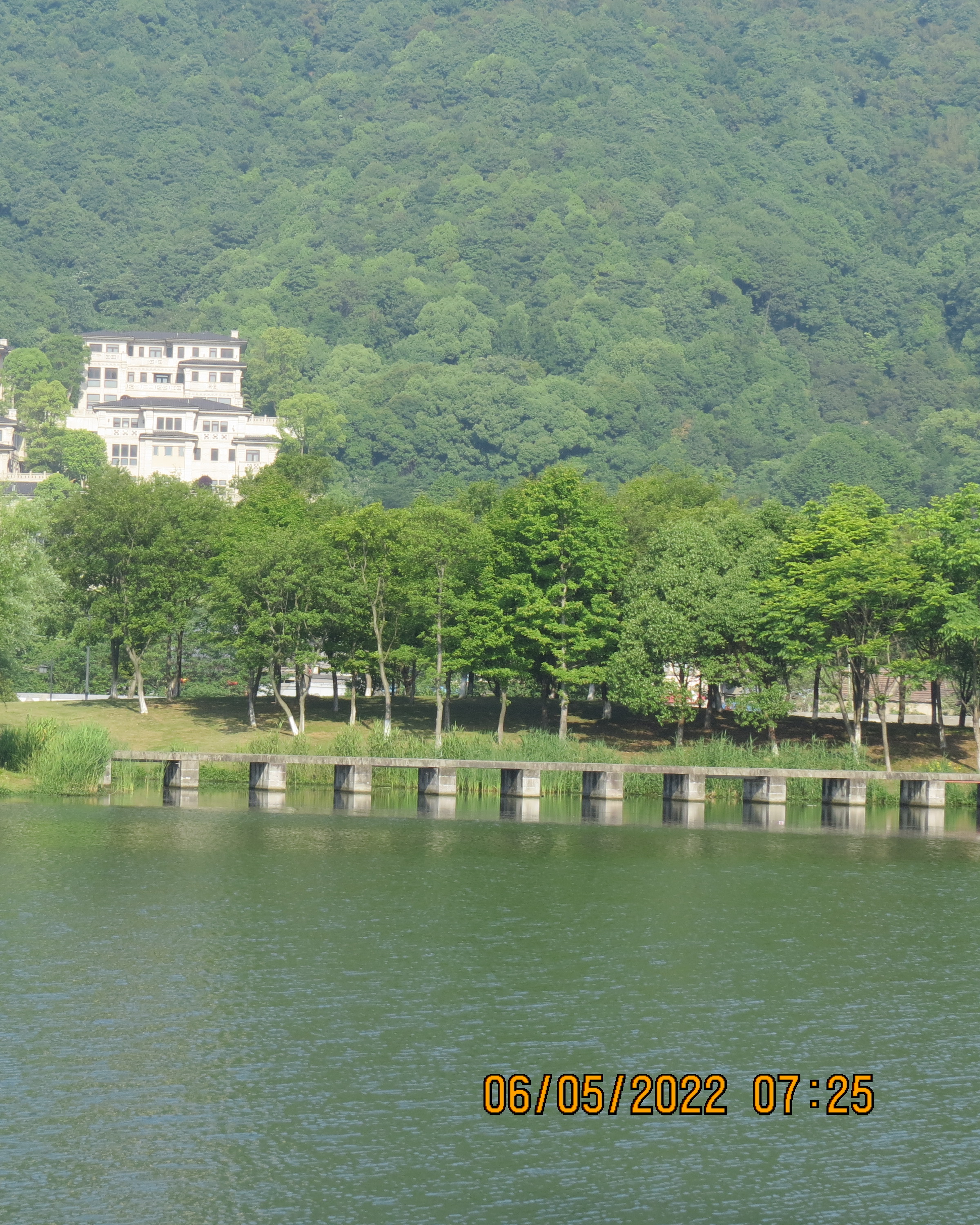IMG_2465.JPG