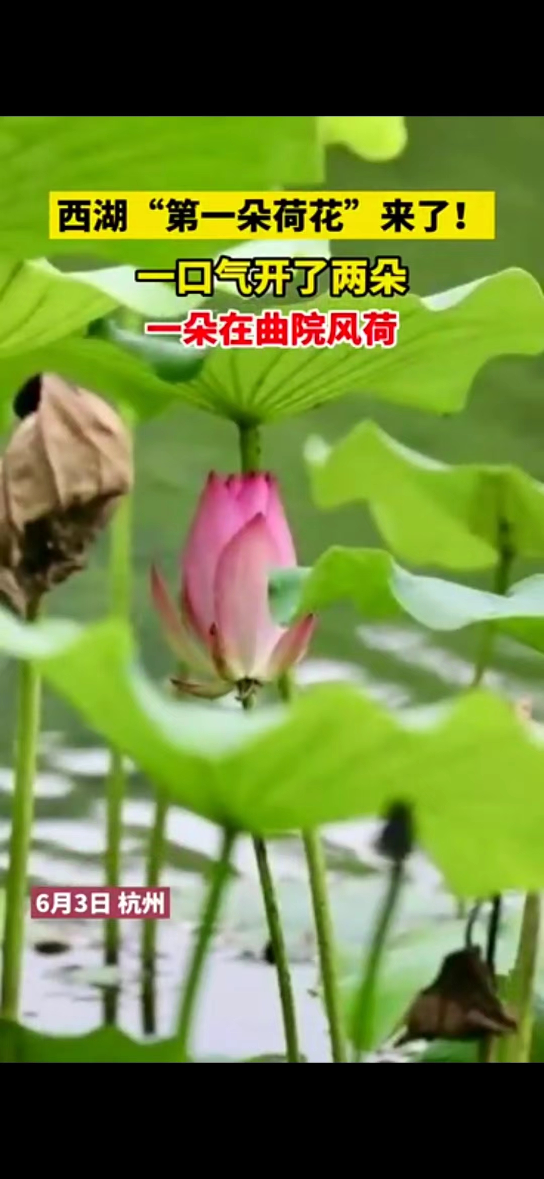 微信图片_20220604145030.jpg