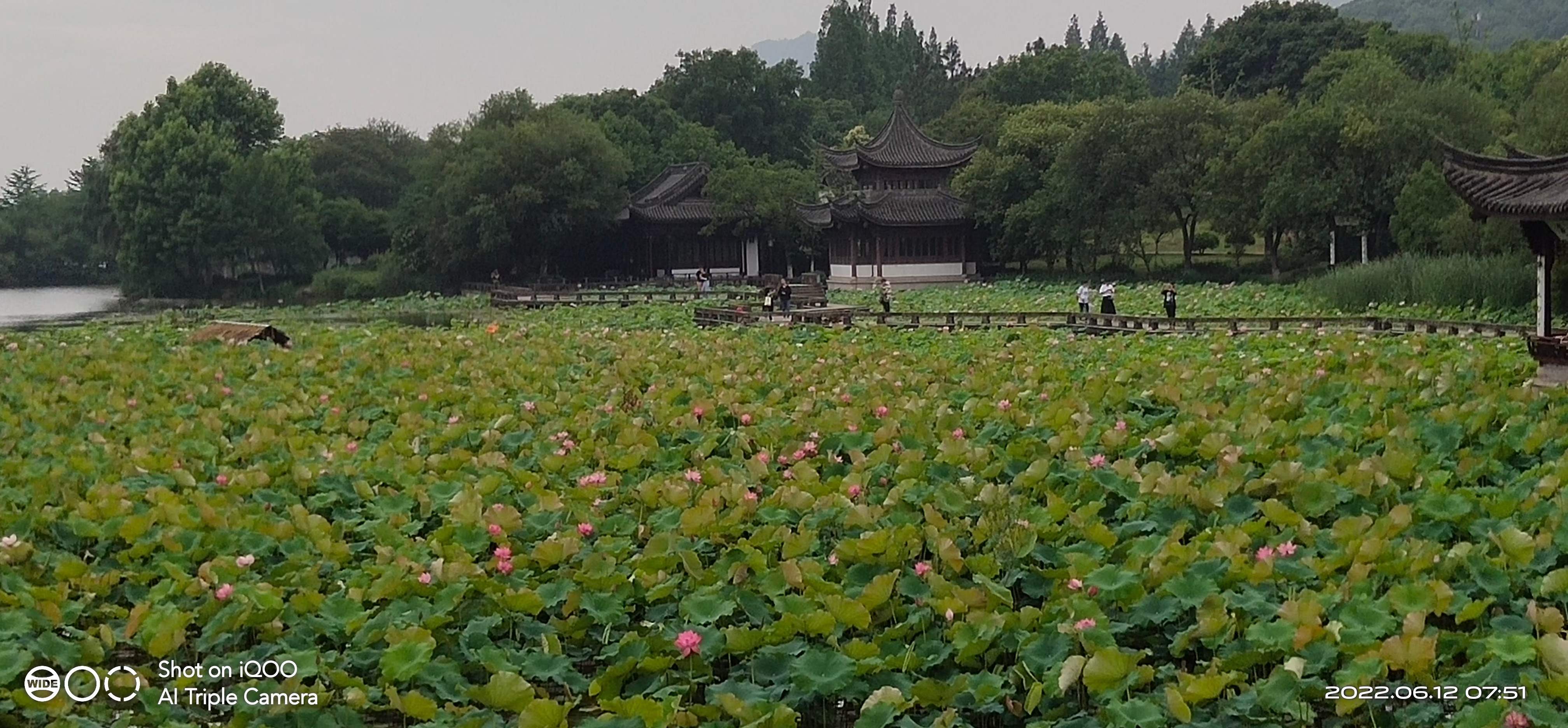 微信图片_20220612101442.jpg